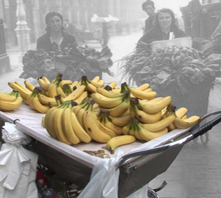 Bananas on the Breadboard